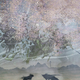 Illustration for article titled Cool Off During El Niño With These Wintry Video Game Songs